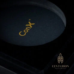 Effect Audio Centurion - Silber-Gold Flagship -Audio Essence Effect Audio Centurion 01