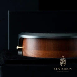 Effect Audio Centurion - Silber-Gold Flagship -Audio Essence Effect Audio Centurion 04