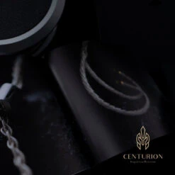 Effect Audio Centurion - Silber-Gold Flagship -Audio Essence Effect Audio Centurion 05