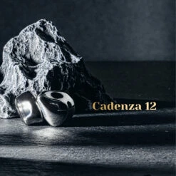 Letshuoer Cadenza 12 - Flagship Hybrid IEM 20 Letshuoer Cadenza 12 - Flagship Hybrid IEM -Audio Essence LetshuoerCadenza1202