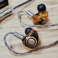 Oriolus Isabellae - Single DD IEM -Audio Essence Oriolus Isabellae 02