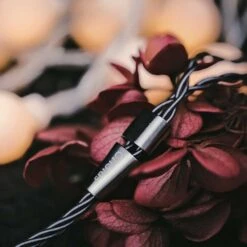 Oriolus Isabellae - Single DD IEM -Audio Essence Oriolus Isabellae 04