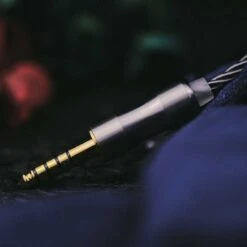 Oriolus Isabellae - Single DD IEM -Audio Essence Oriolus Isabellae 05