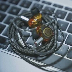 Oriolus Isabellae - Single DD IEM -Audio Essence Oriolus Isabellae 06