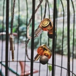 Oriolus Isabellae - Single DD IEM -Audio Essence Oriolus Isabellae 07