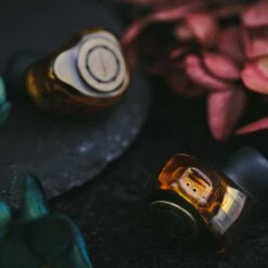 Oriolus Isabellae - Single DD IEM -Audio Essence Oriolus Isabellae 10