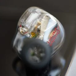 Oriolus Mellianus JP 23 Oriolus Mellianus JP -Audio Essence Oriolus Mellianus JP 00