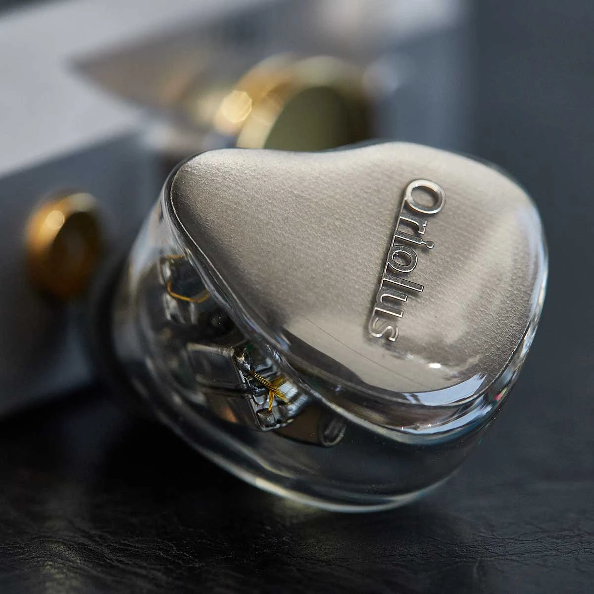 Oriolus Mellianus JP 5 Oriolus Mellianus JP – Bild 5