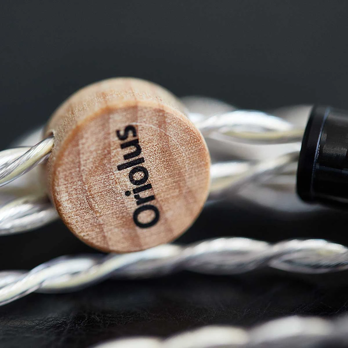 Oriolus Mellianus JP 9 Oriolus Mellianus JP – Bild 9