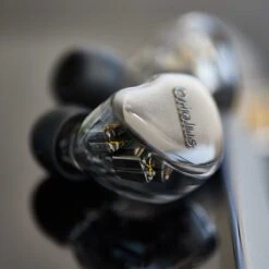 Oriolus Mellianus JP