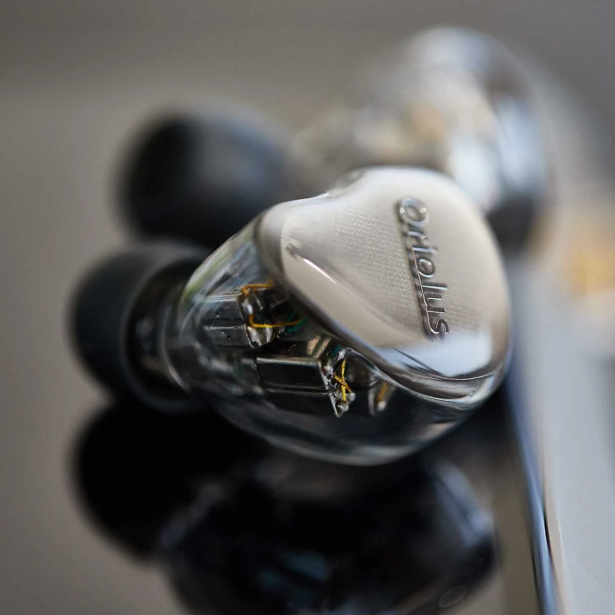 Oriolus Mellianus JP 1 Oriolus Mellianus JP