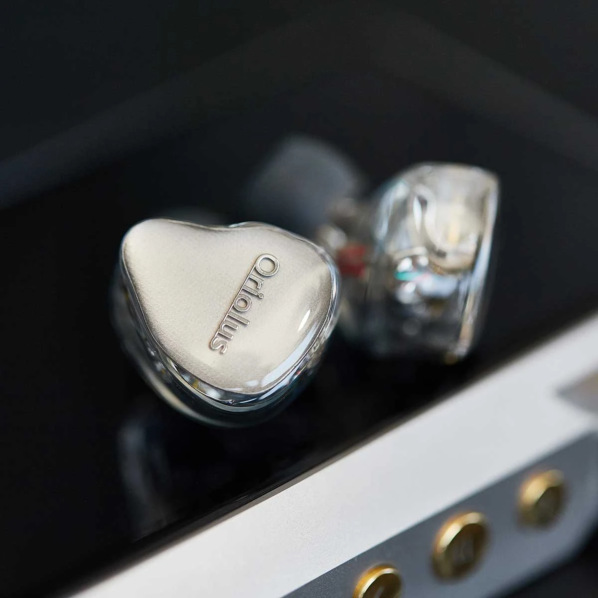 Oriolus Mellianus JP 4 Oriolus Mellianus JP – Bild 4