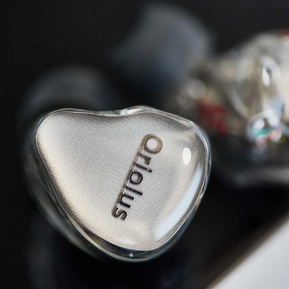 Oriolus Mellianus JP 2 Oriolus Mellianus JP – Bild 2