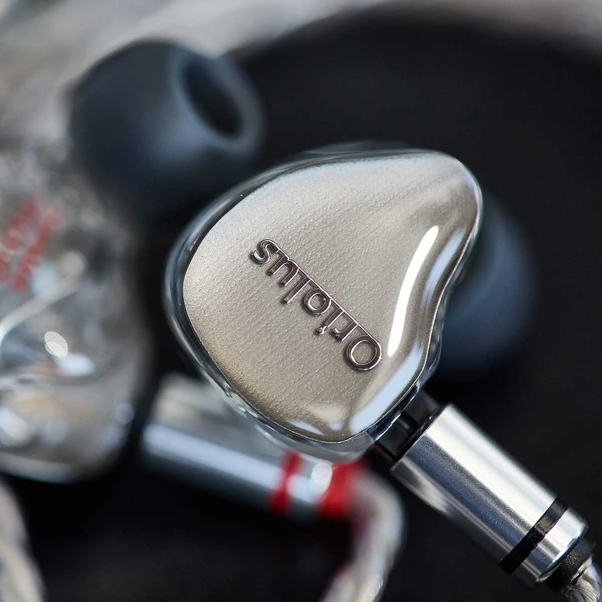 Oriolus Mellianus JP 3 Oriolus Mellianus JP – Bild 3