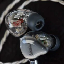 Oriolus Mellianus JP 21 Oriolus Mellianus JP -Audio Essence Oriolus Mellianus JP 06