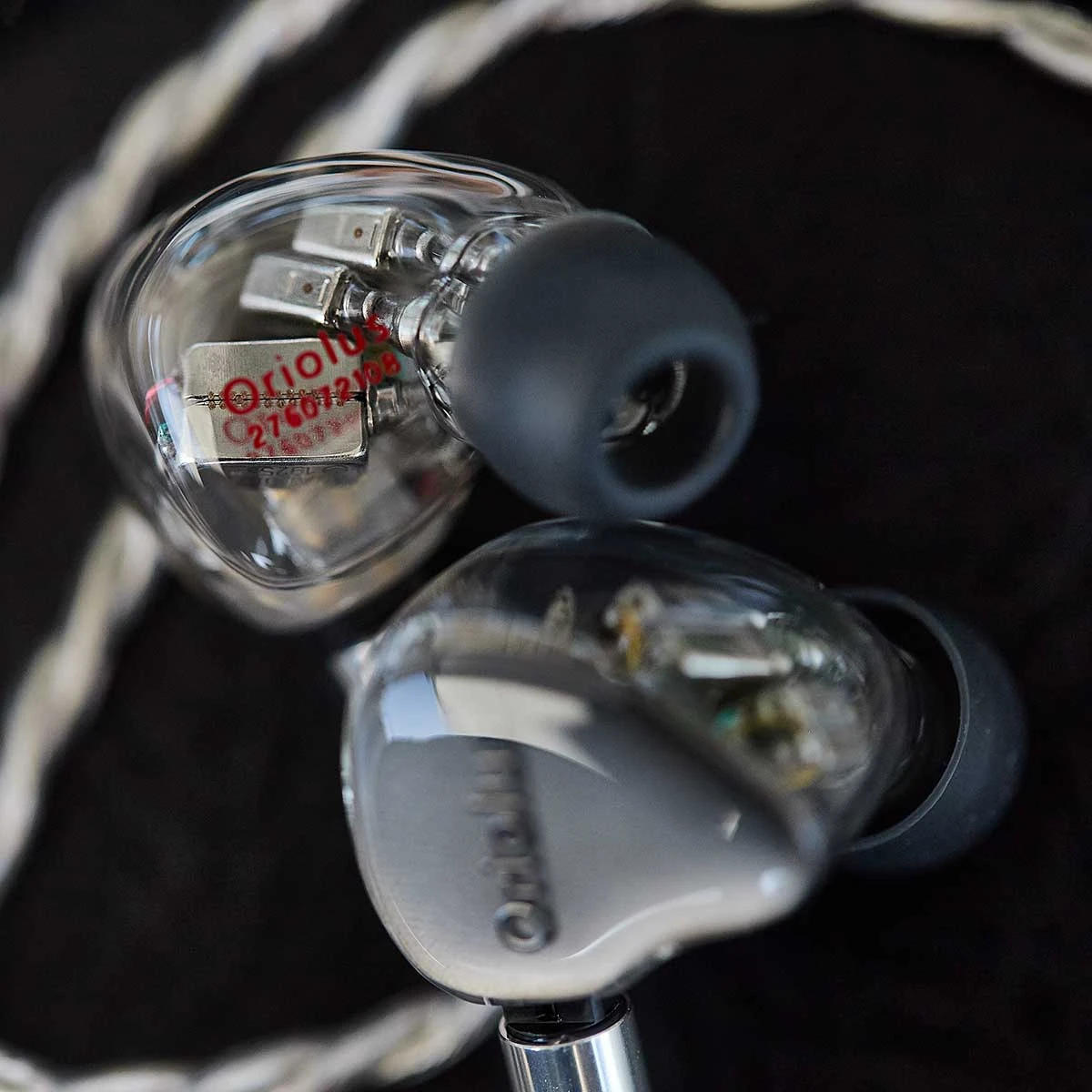 Oriolus Mellianus JP 6 Oriolus Mellianus JP – Bild 6