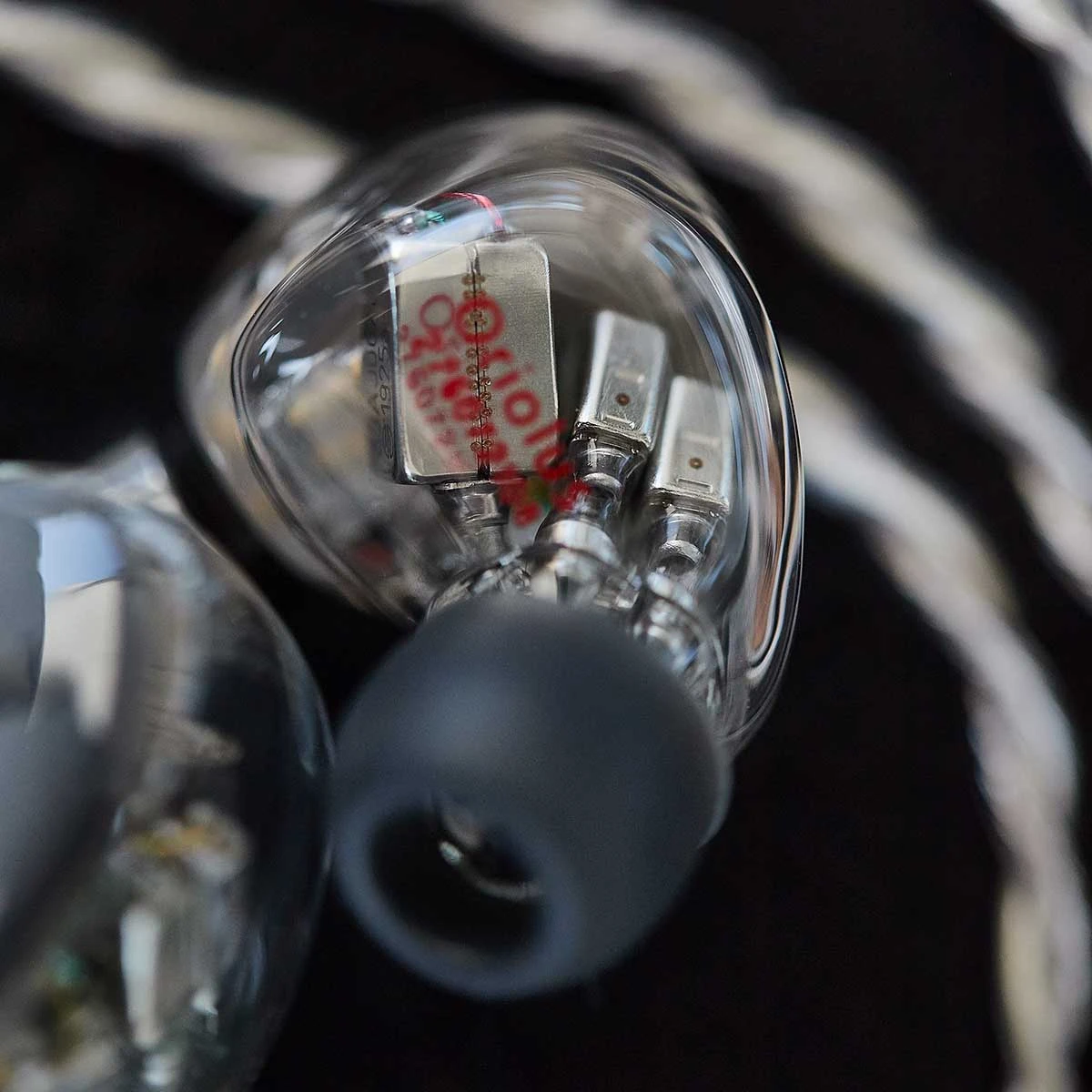 Oriolus Mellianus JP 7 Oriolus Mellianus JP – Bild 7