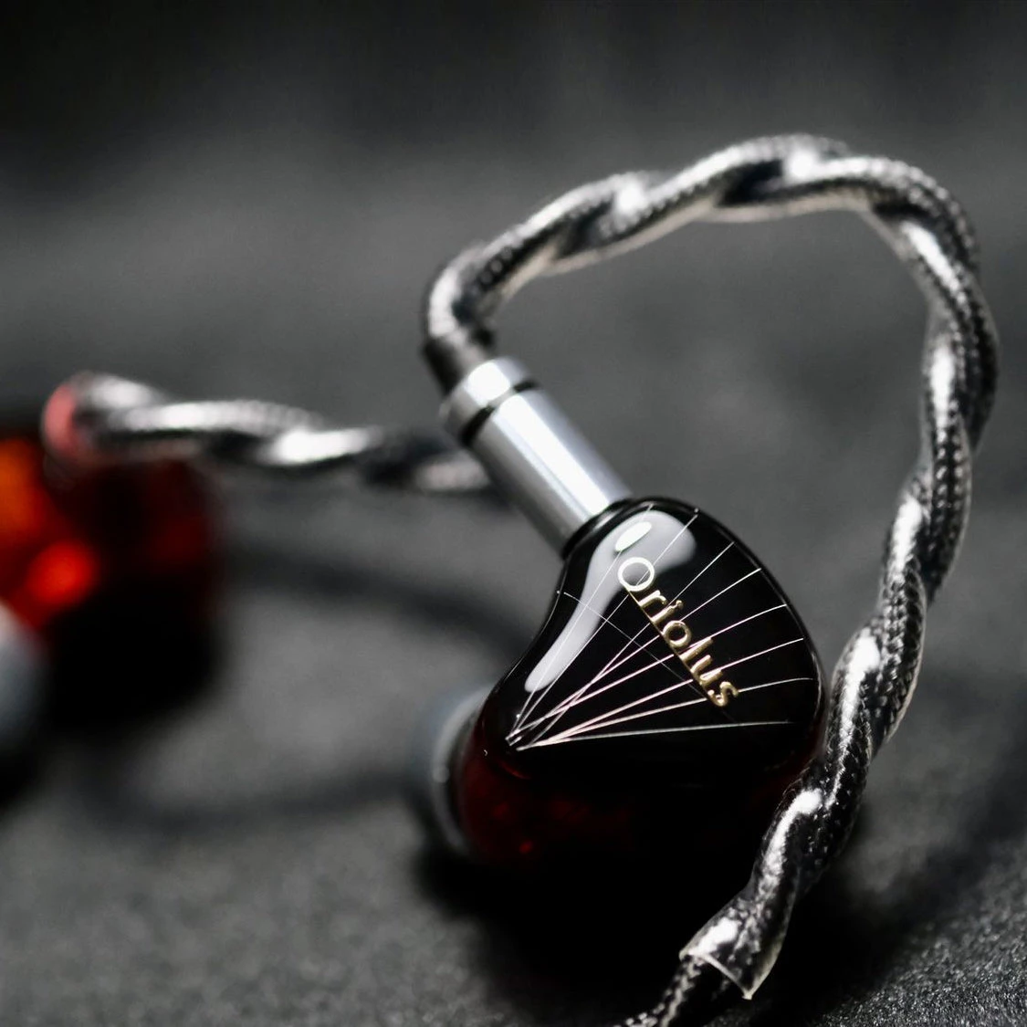 Oriolus Traillii "Black & Red" Special Edition 2 Oriolus Traillii "Black & Red" Special Edition – Bild 2