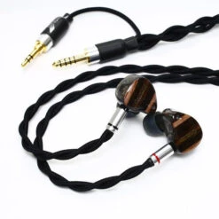 Oriolus Percivali JP 17 Oriolus Percivali JP -Audio Essence OriolusPercivali08